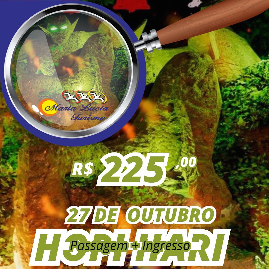 Hopi Hari - SP Outubro